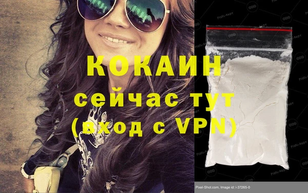 винт Абаза
